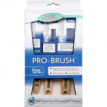Pro Brush Paint Brush - Set of 3