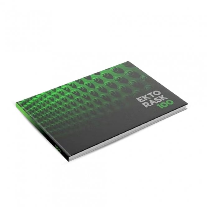 B4D Artist Insight 2: Ekto x Rask 100