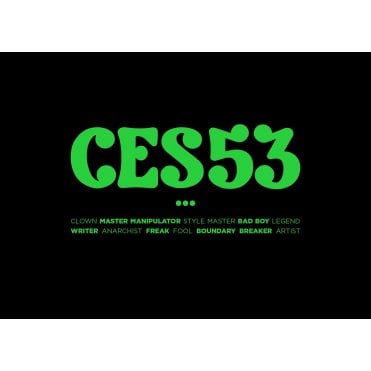 CES 53 Graffiti Book